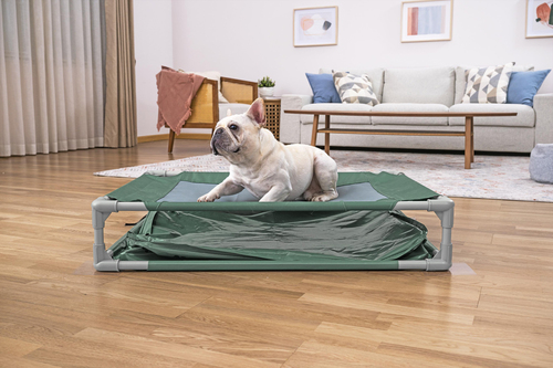 Bestway Lemmikkiallas Fetchin' Fun 2-in-1