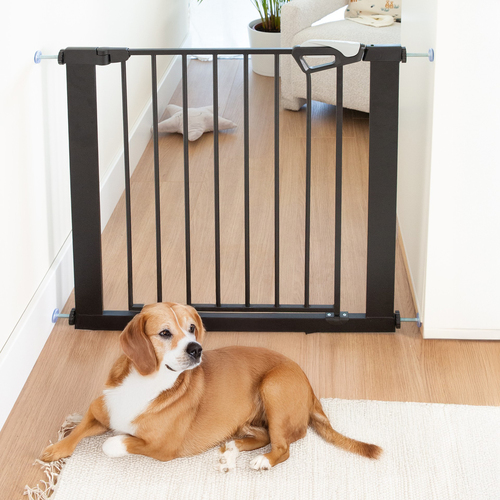 Roba Turvaportti, Musta