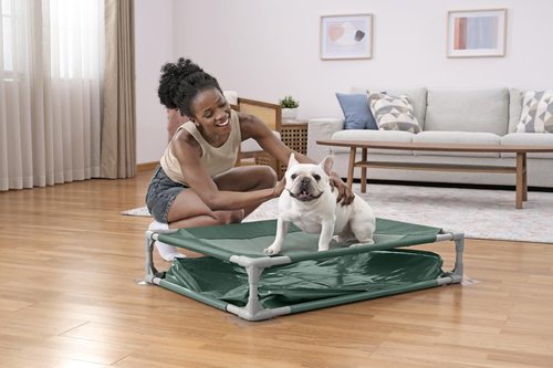 Bestway Lemmikkiallas Fetchin' Fun 2-in-1
