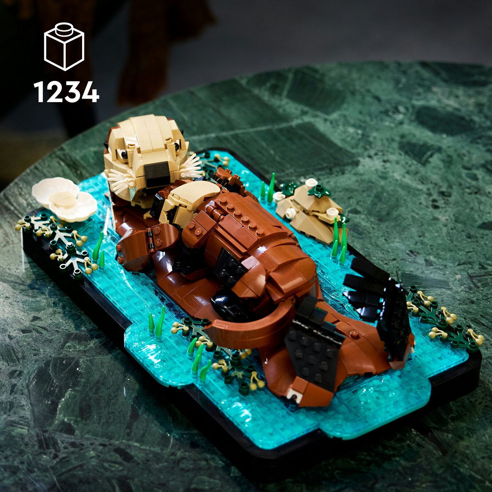 21366-1379_4a.jpg