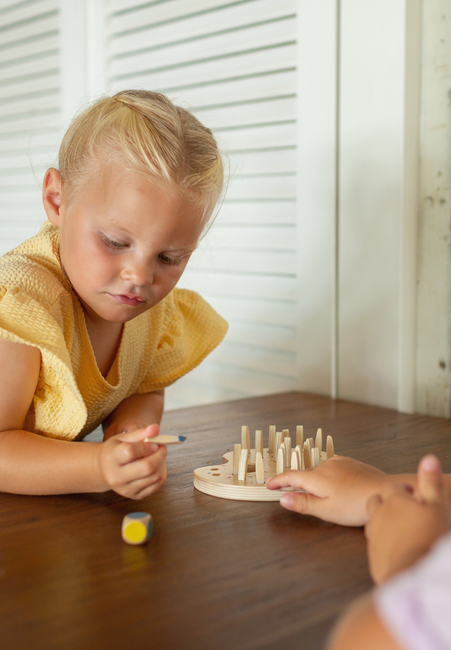 BS Toys Paintbrush Muistipeli