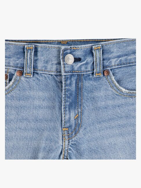 Levi's LVB Skate Shortsit, From Scratch