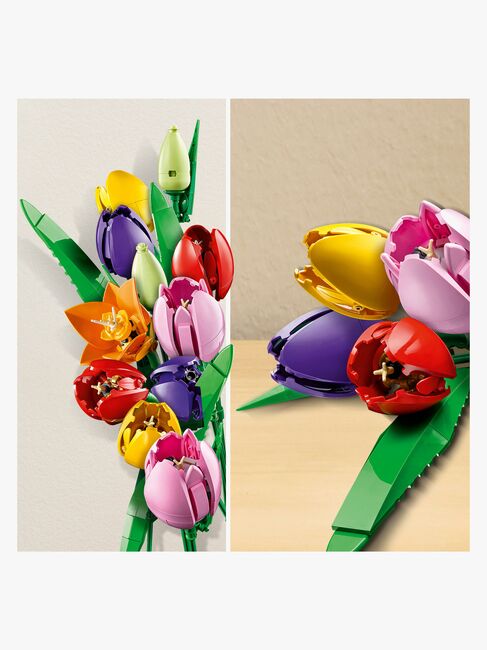 LEGO Botanicals 11501 Tulppaanikimppu
