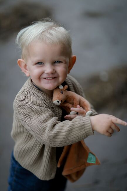 Mimmi Lehmä Uniriepu, Ruskea