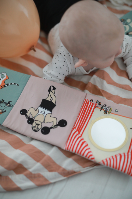 Peppi Pitkätossu  Sirkus Kangaskirja