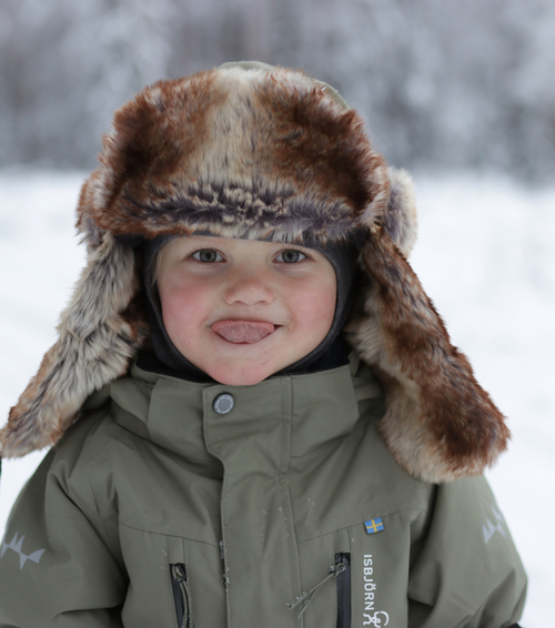 Isbjörn Penguin Toppahaalari, Moss