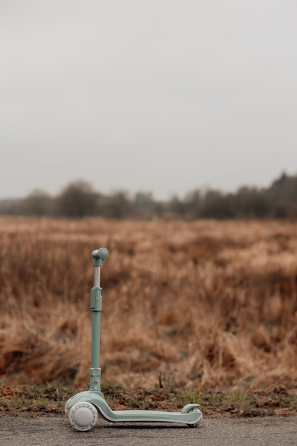 Vanilla Copenhagen Potkulauta, Fern