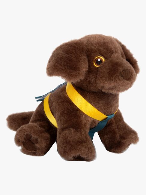 Small Foot Koira + Laukku Ja Hoitosarja