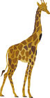 That's Mine Sisustustarra Giraffe
