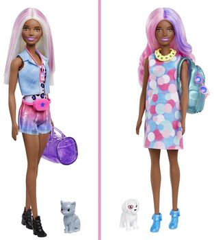 Barbie Color Reveal Carnival to Concert Nukke